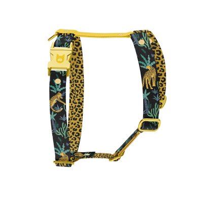 Collezione imbracature per cani Jaguar