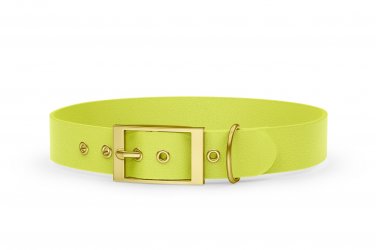 Collare per Cani Avventura: Giallo neon con Oro