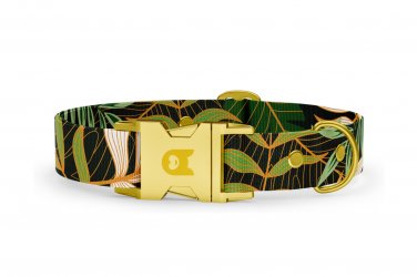 Collare per cani Collezione Basic Jungle