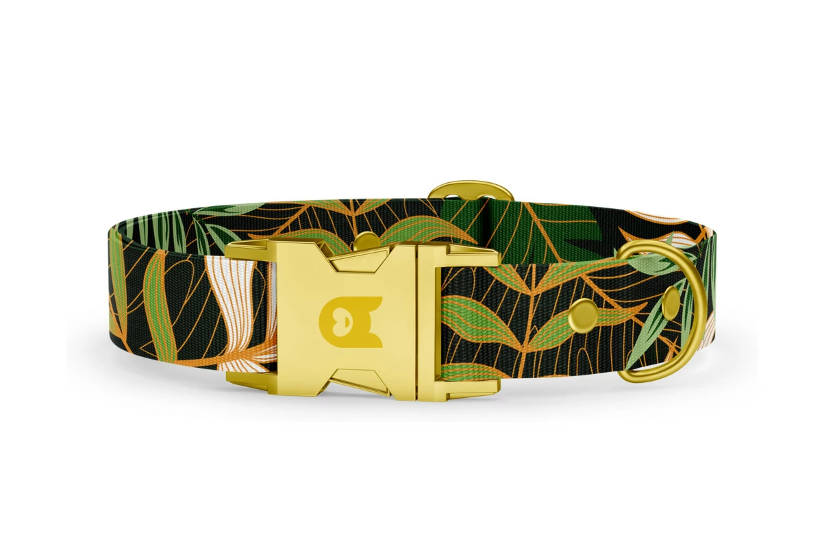 Collare per cani Collezione Basic Jungle