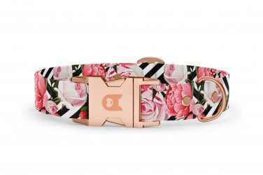 Collare per cani Collezione Basic Roses