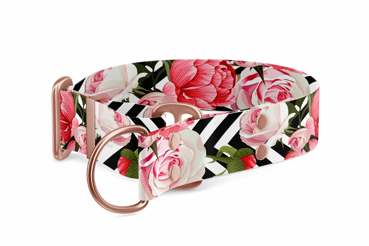 Collare per cani Martingale Collezione Roses