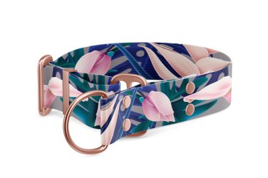 Collezione Collare per cani Martingale Tropical