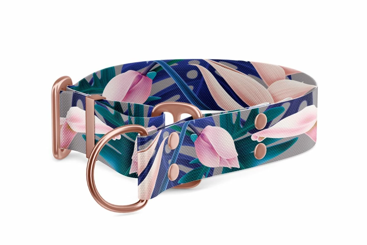 Collezione Collare per cani Martingale Tropical