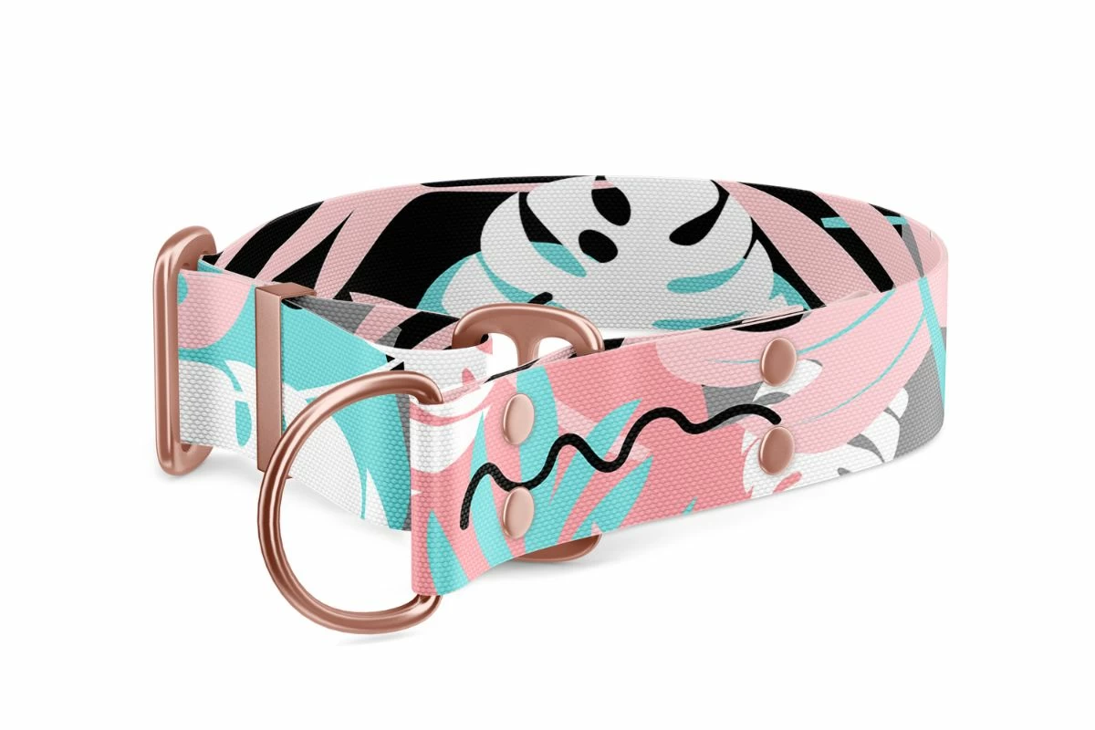 Collezione collare per cane Martingale Uno